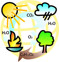 Schadstoffe beim verbrennen in einem wassergeführten Kaminofen, CO2-neutral! Schadstoffe beim verbrennen in einem wasserführenden Kaminofen